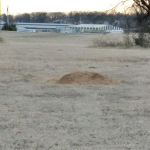 Meet your Posher, Vincent